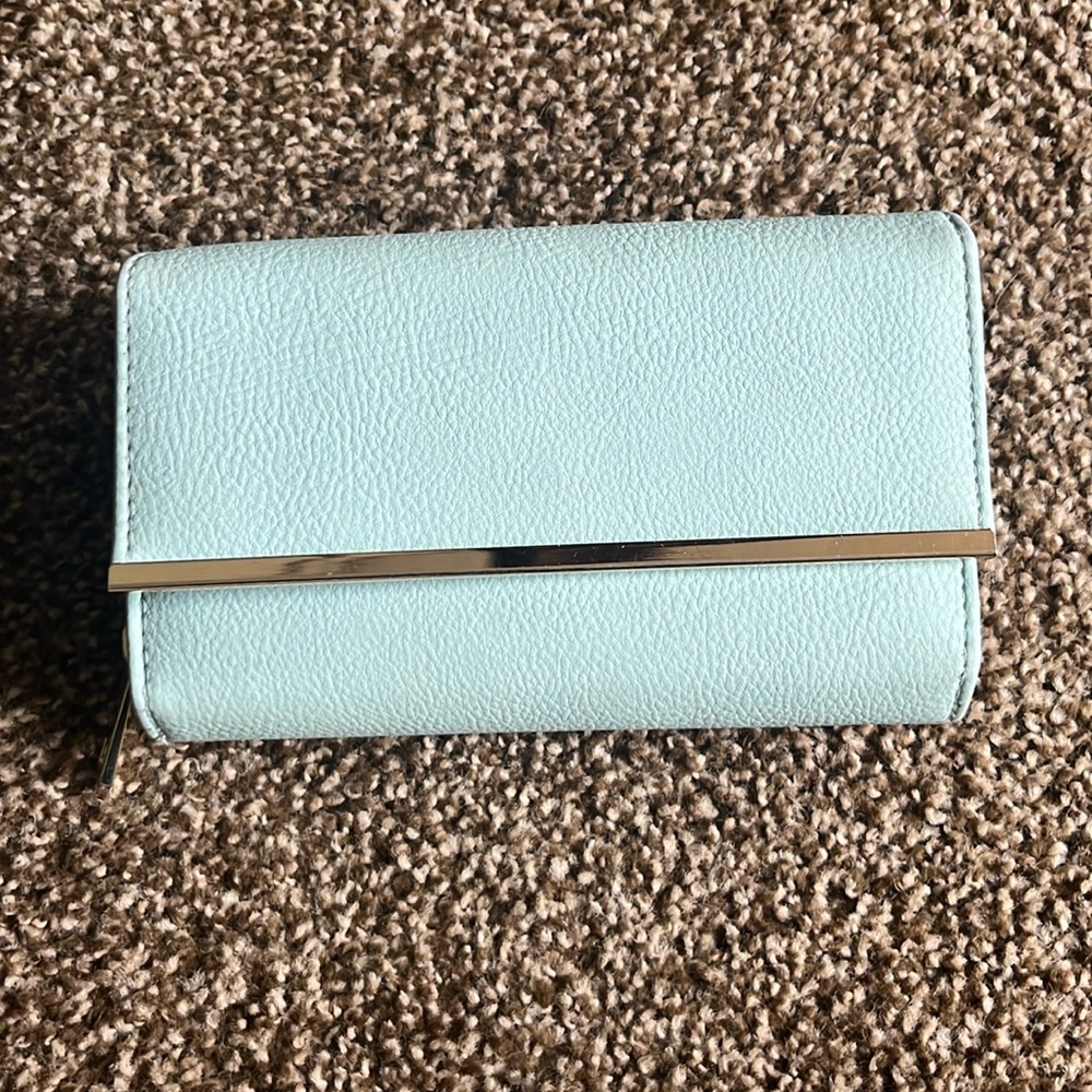 Safe Keeper Mint Wallet